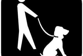 Правила утримання домашніх тварин у місті Хмельницькому та відповідальність за їх порушення