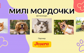 Фотоконкурс «Милі мордочки»: покажіть улюбленця та вигравайте суперпризи!