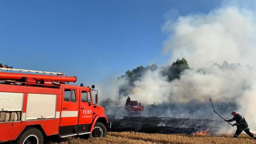 Рятувальники звинуватили аграріїв у підпалі полів: що відомо