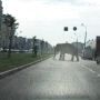 У Вінниці заборонили цирки-шапіто з тваринами. Чи має так бути у Хмельницькому (ОБГОВОРЕННЯ)