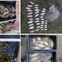 На Хмельниччині браконьєри виловили риби на понад 3 тисячі гривень
