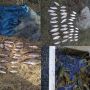 Риби на  6 тисяч гривень незаконно виловили з водойм Хмельниччини