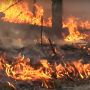 Поблизу Хмельницького горіли гектари трави: що стало причиною пожежі