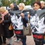 Працівники “Спецкомунтрансу” і отруєння собак у Хмельницькому: поліція закрила справу
