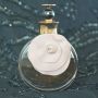 Вісім елегантних парфумів Valentino: що обрати, якщо цінуєш стиль та якість (Новини компаній)
