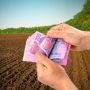 На Хмельниччині директора аграрного підприємства  обвинувачують у несплаті податку