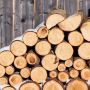 Новий опалювальний сезон: де, як і за скільки хмельничанам купити дрова