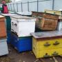 На Шепетівщині затримали бджолярів, які викрадали вулики