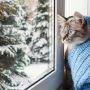 Яким буде останній день зими на Хмельниччині:  погода на 28 лютого