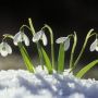 Яким буде перший день весни на Хмельниччині: погода на 1 березня
