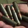 Житель Шепетівського району тримав вдома 200 патронів та гвинтівку