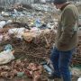 Рештки тварин виявили на стихійному сміттєзвалищі поблизу Хмельницького