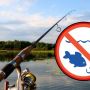 З 1 квітня на Хмельниччині розпочинається нерестова заборона на вилов риби: деталі