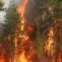 У Хмельницькій області оголошено надзвичайний рівень пожежної небезпеки