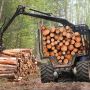Комунальне підприємство на Теофіпольщині змусили заплатити за незаконну вирубку лісу