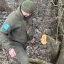 На Хмельниччині невідомі незаконно вирубували дерева