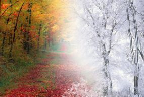 Яким буде останній день осені на Хмельниччині: прогноз погоди