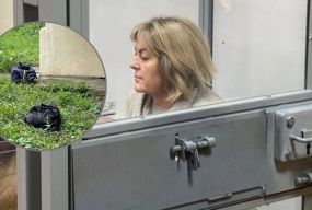 Чиї гроші: Крупа назвала власника викинутих через вікно сумок з готівкою