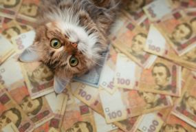 ТОП-10 найзатребуваніших професій на Хмельниччині і скільки за них платять