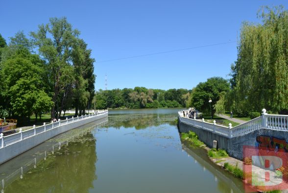 У хмельницьких річках дохне риба та цвіте вода. Що із цим робитиме влада