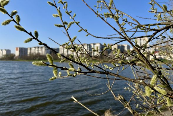 Якою буде погода на Хмельниччині у Вербну неділю 5 квітня