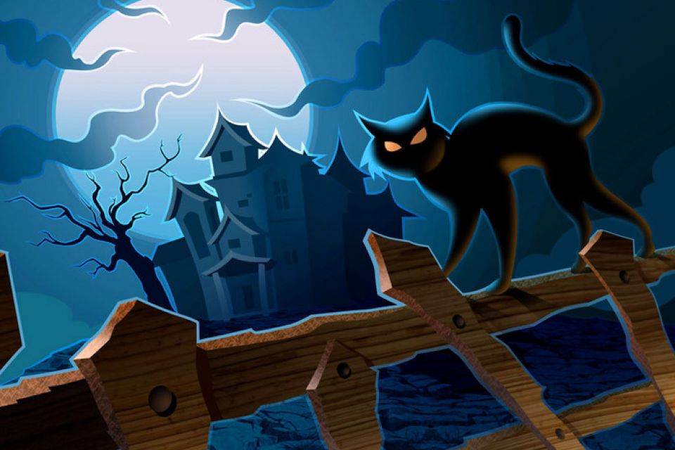 Хмельницький: Куди піти на «Halloween»