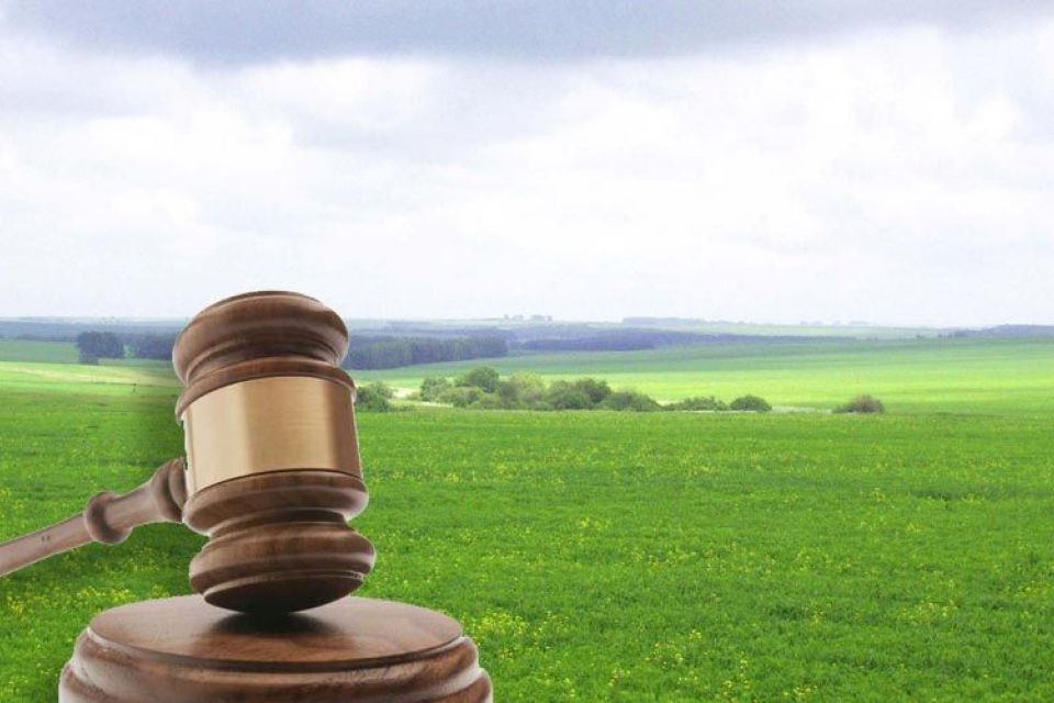 Земельний аукціон: міська рада здасть в оренду вісім ділянок у Хмельницькому