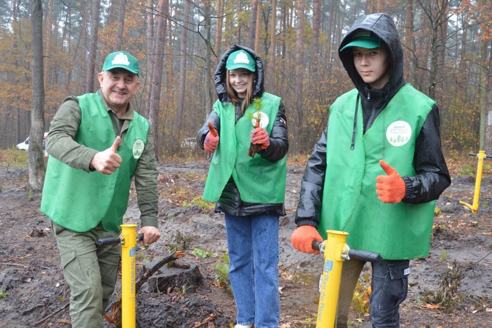 Цієї осені на Хмельниччині висадили 110 гектарів лісу