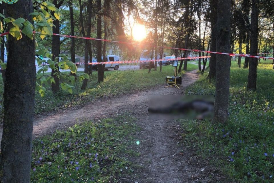 Мешканець Кам’янеччини влаштував у парку криваву різанину: суд виніс вирок
