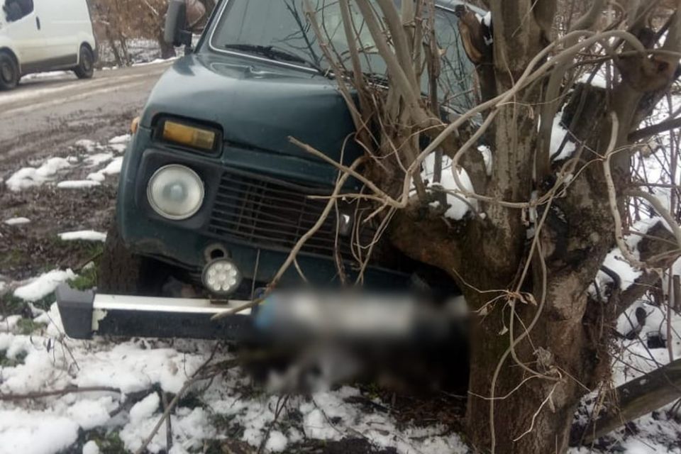 П’яний чоловік вкрав “ВАЗ” і врізався в дерево