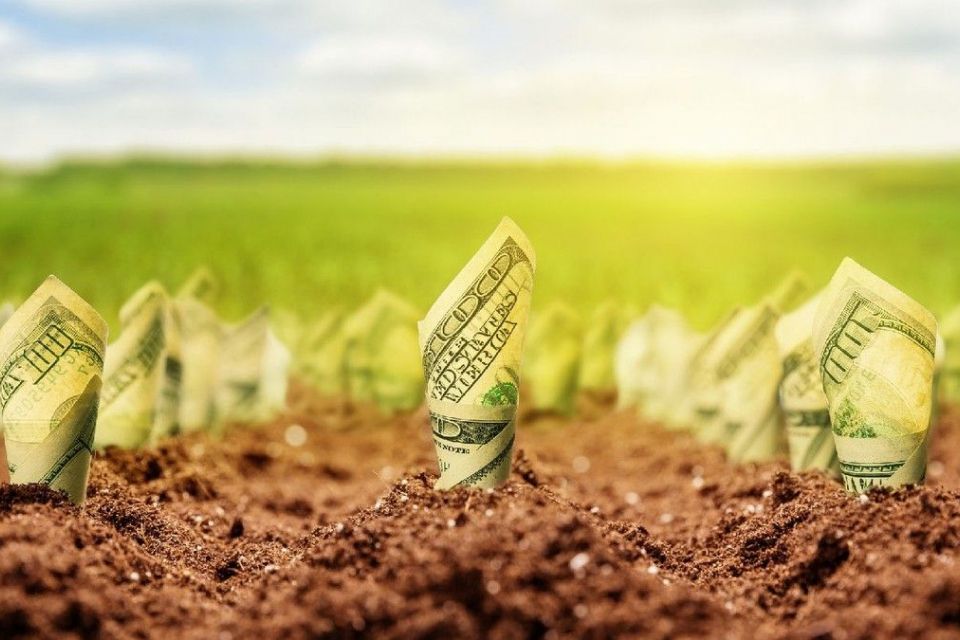 Мешканець Хмельниччини подарував синові 10 земельних ділянок: суд договори визнав недійсними