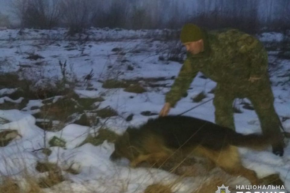 Вийшов надвечір і пропав: на Хмельниччині кінолог зі службовою собакою розшукали 83-річного дідуся