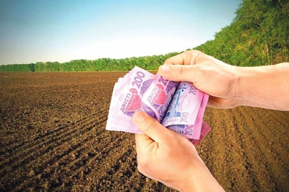 Ні сонячної електростанції, ні грошей: на Кам’янеччині громаді повернули ділянку вартістю в 16 мільйонів