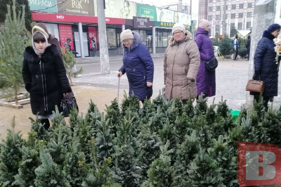 Штучні та живі ялинки: які ціни у Хмельницькому