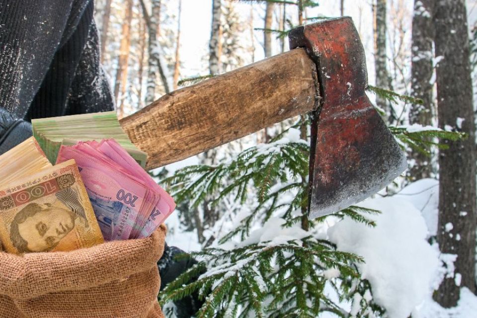 Штрафи за незаконну вирубку ялинок: скільки доведеться заплатити за браконьєрство