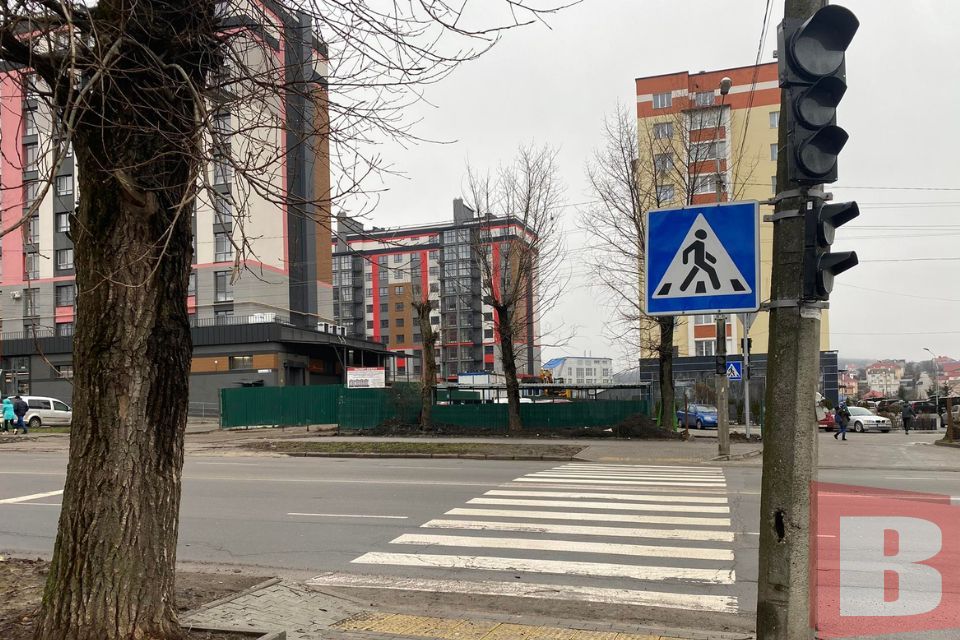 Чому не працює світлофор на Вінницькому шосе, де збили дитину