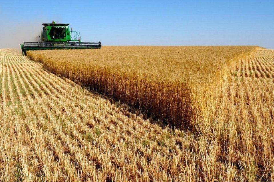 Аграрії Хмельниччини – лідери по врожайності зернових