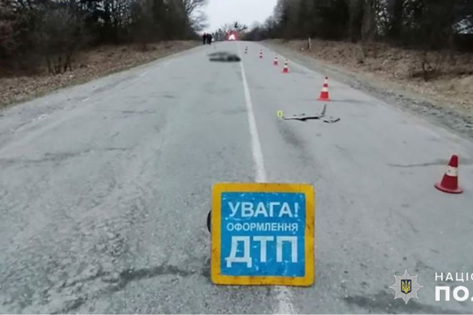 Поліцейські затримали мера Полонного. Він збив насмерть пішохода та втік