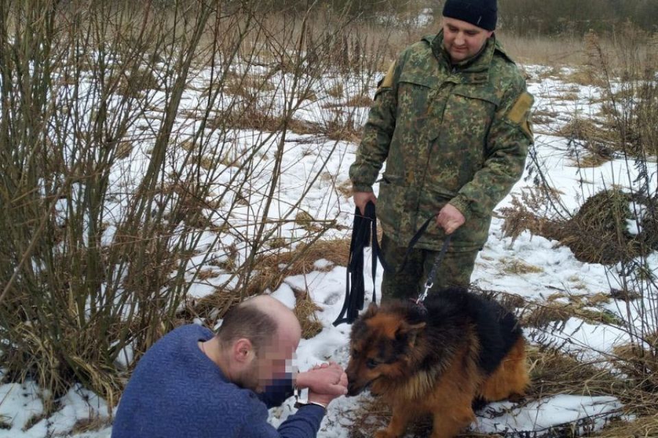 У Гречанах службовий пес Граф знайшов грабіжника, який напав на пенсіонерку