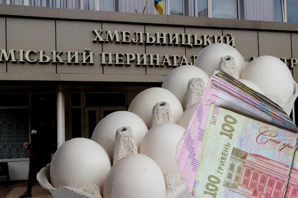 За скільки купують яйця комунальні підприємства Хмельницького (ІНФОГРАФІКА)