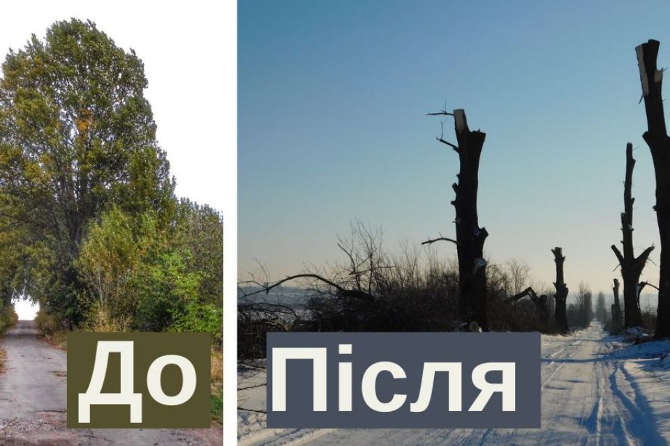 “По варварськи”: на Дальніх Гречанах невідомі обрізали дерева (ФОТО)