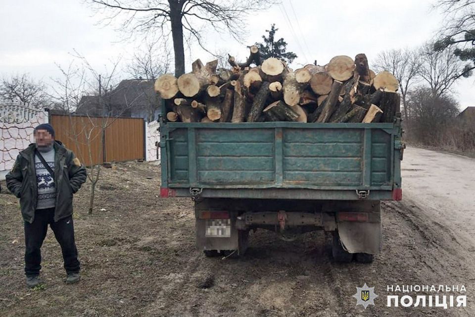 У Хмельницькому районі лісник вирубував дерева. Йому “світить” до 3 років
