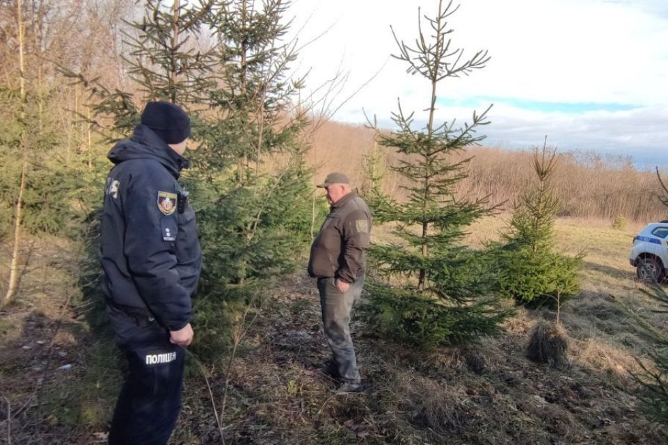 Перших цьогоріч ялинкових браконьєрів оштрафували на Хмельниччині