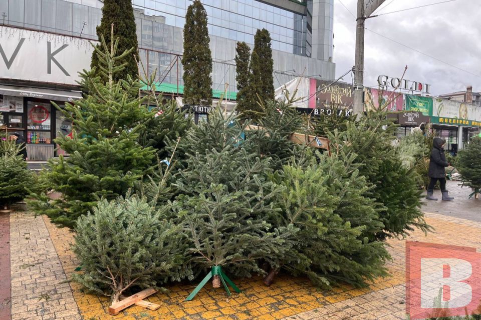 Як утилізувати новорічну ялинку у Хмельницькому