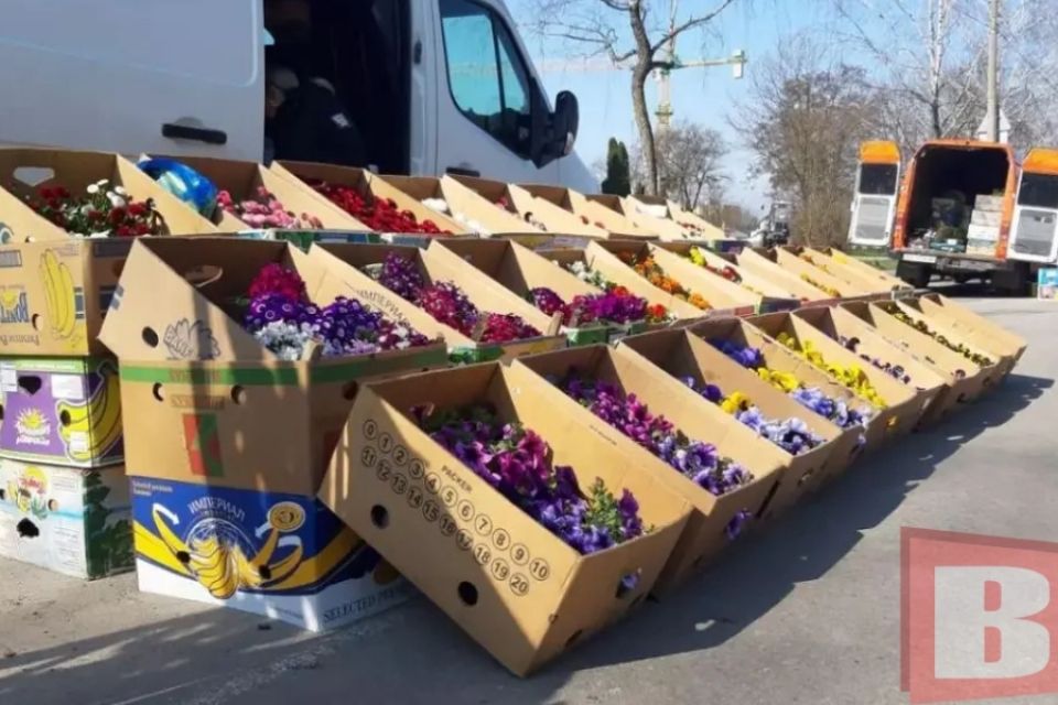У Хмельницькому відбудеться квітковий ярмарок. Запрошують представників бізнесу