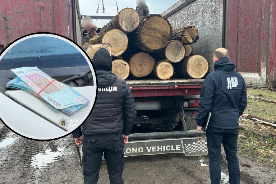 Корупційну схему організували лісівники на Хмельниччині: їх затримали