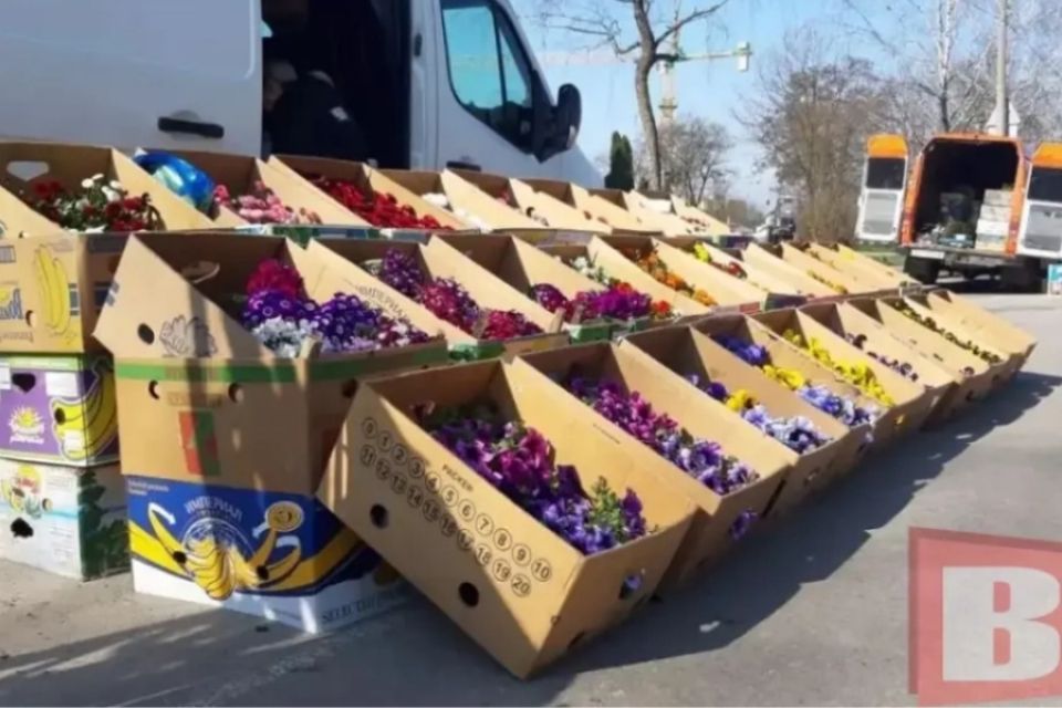 У центрі Хмельницького відбудеться квітковий ярмарок. Деталі