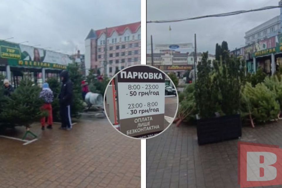 Платну парковку біля «Либідь Плази» перетворили на ялинковий ярмарок