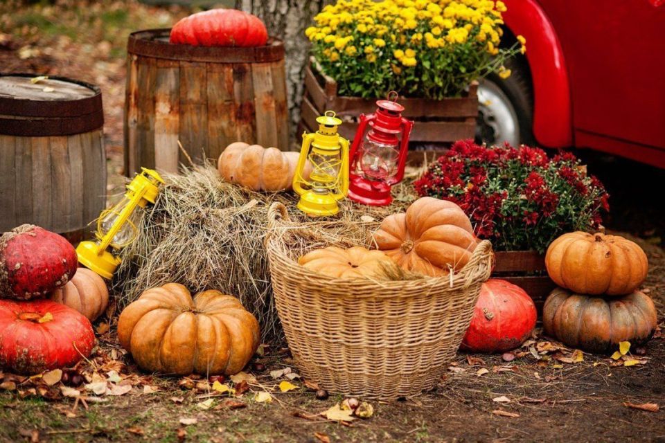 Біля Хмельницького відбудеться продовольчий осінній ярмарок