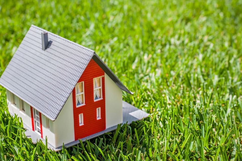 Замість лісу – забудова. Посадовицю з Хмельницького підозрюють у зміні даних кадастру